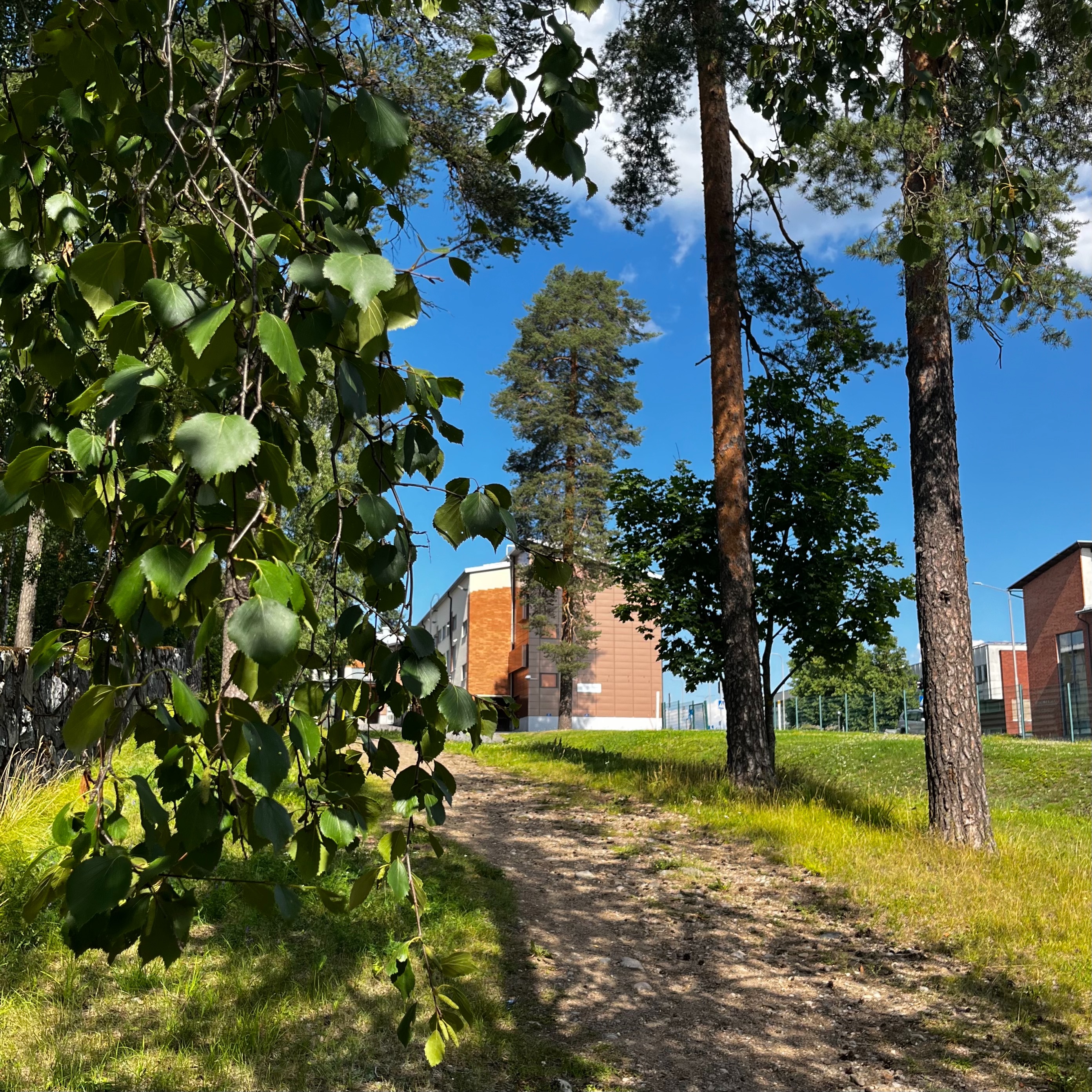 Punaisia tiilitaloja puiden takana.