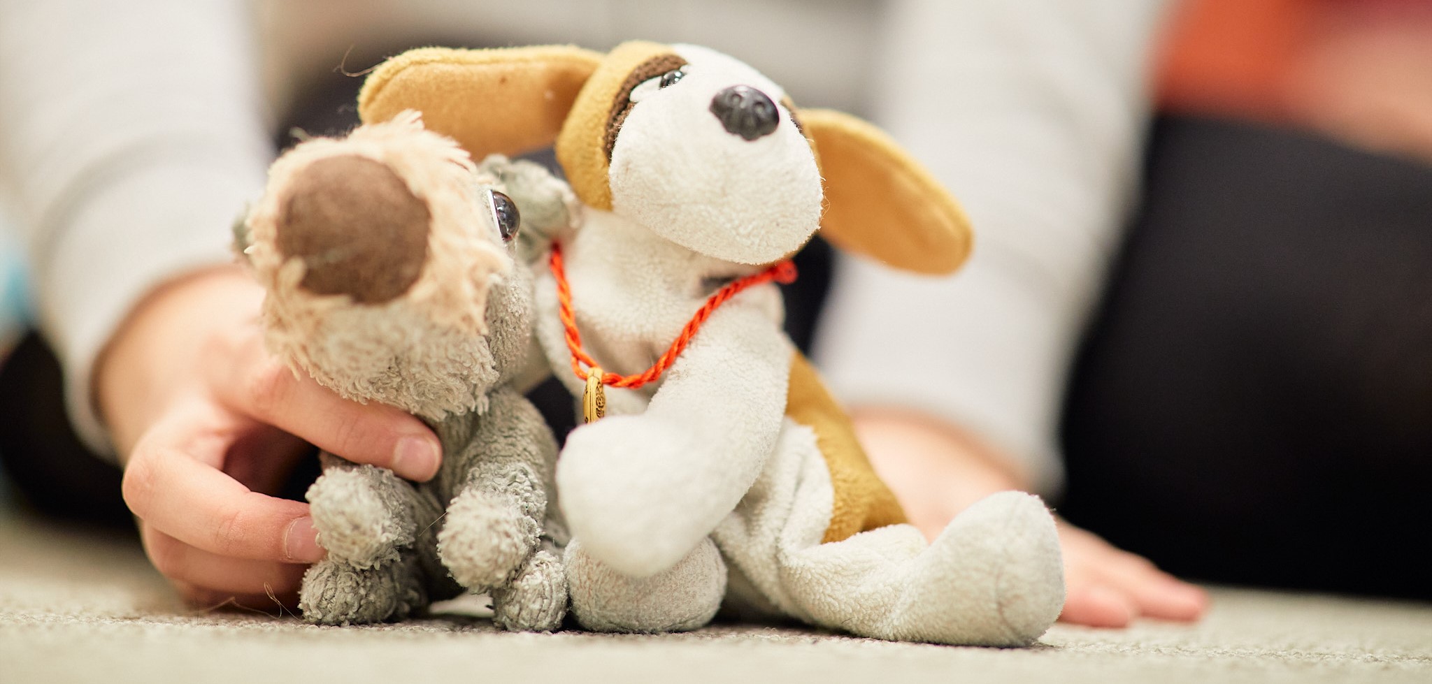 Lapsen käsi pitelemässä kahta koirapehmolelua.