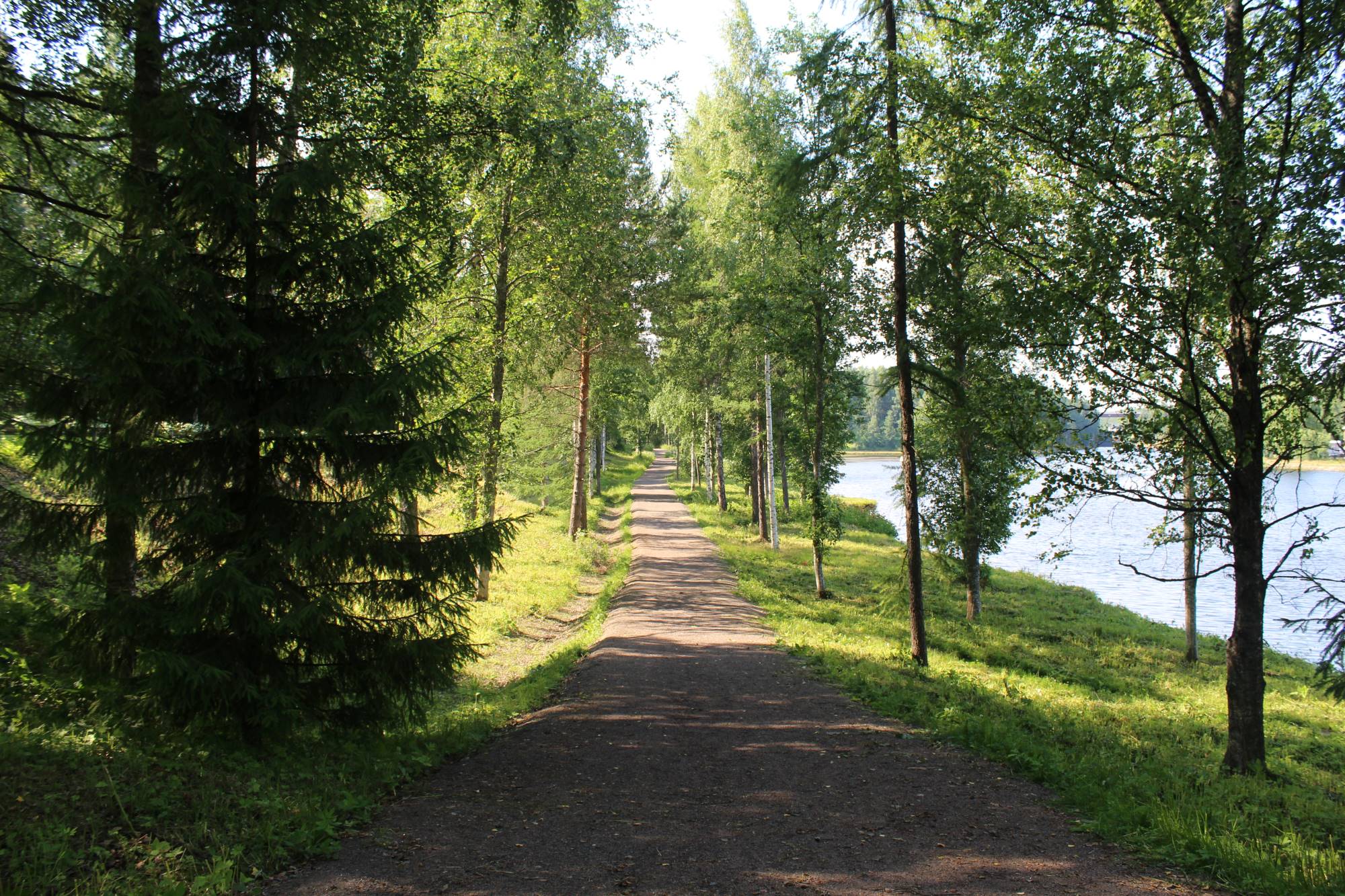 Luontopolku kulkee vihreiden puiden läpi.