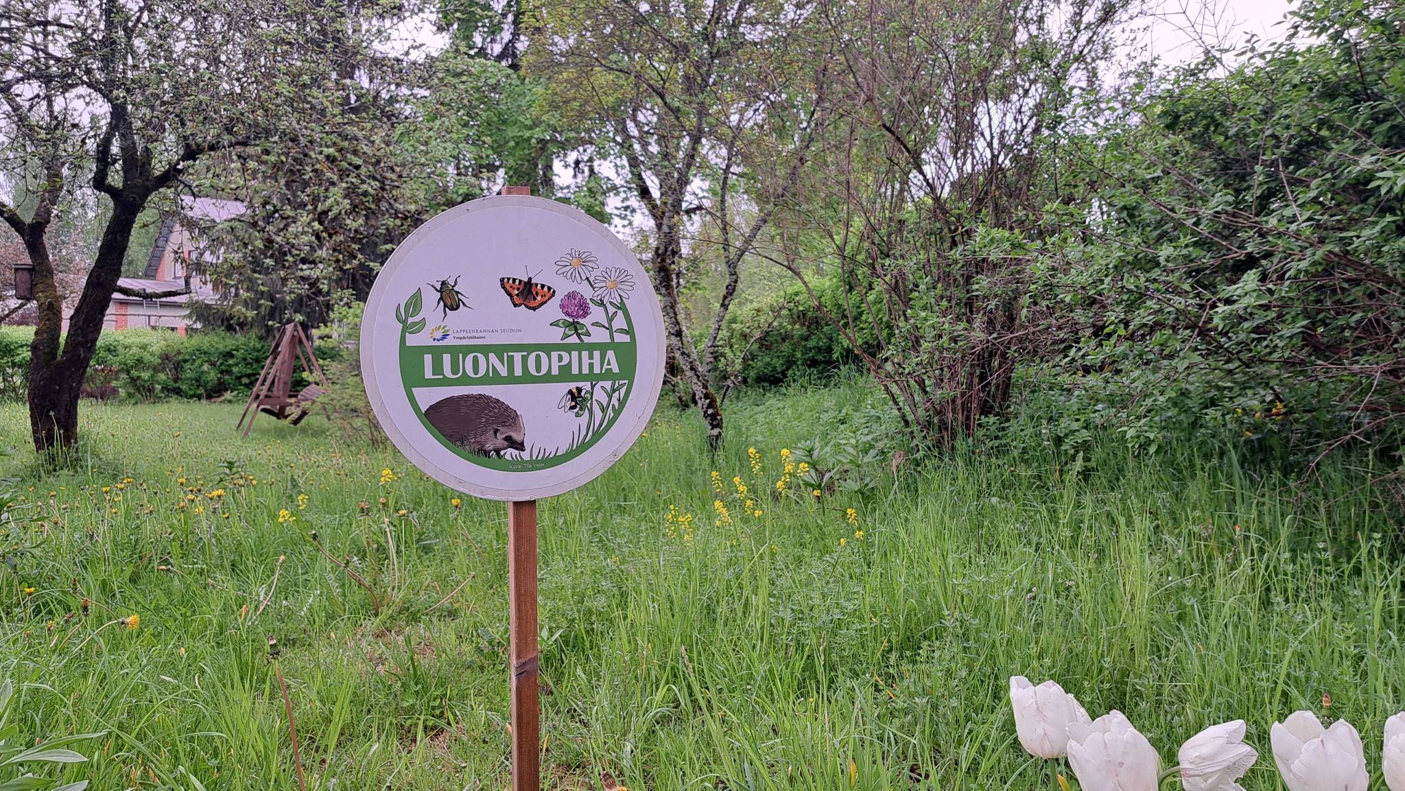 Kyltti, jossa lukee "Luontopiha". Kyltin yläreunassa lukee myös "Lappeenrannan seudun ympäristötoimi".