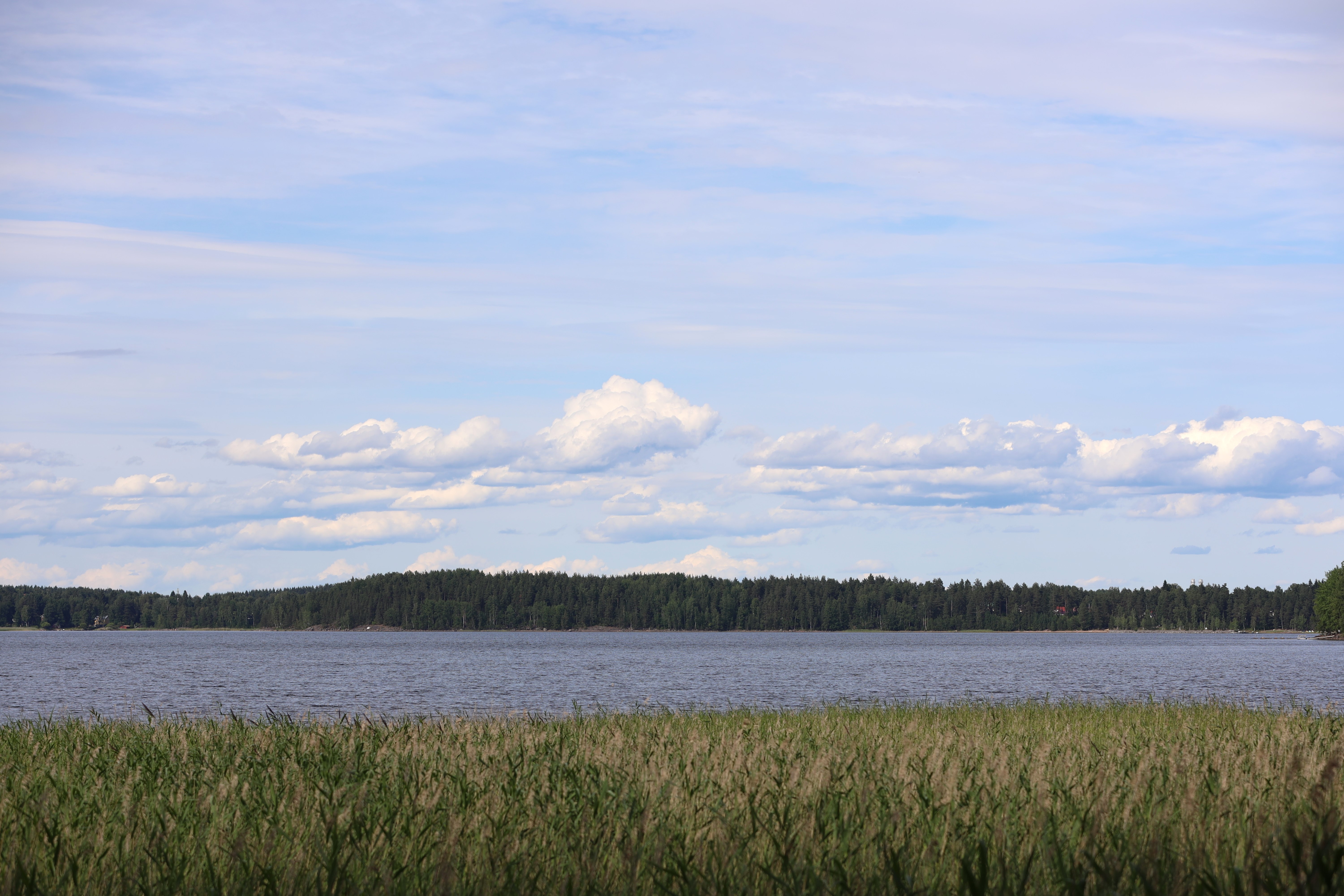 Järvimaisema.