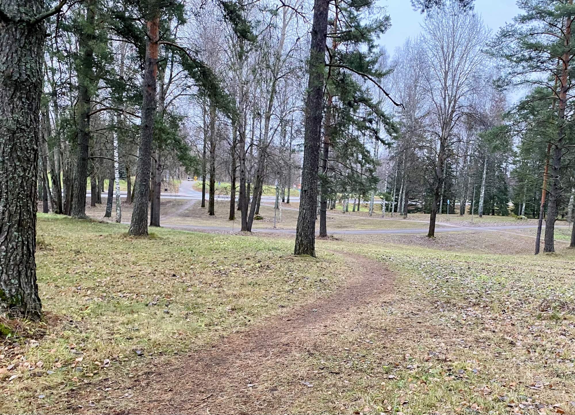 Arboretumin puistoaluetta, puita, kulkureittejä ja polkuja.