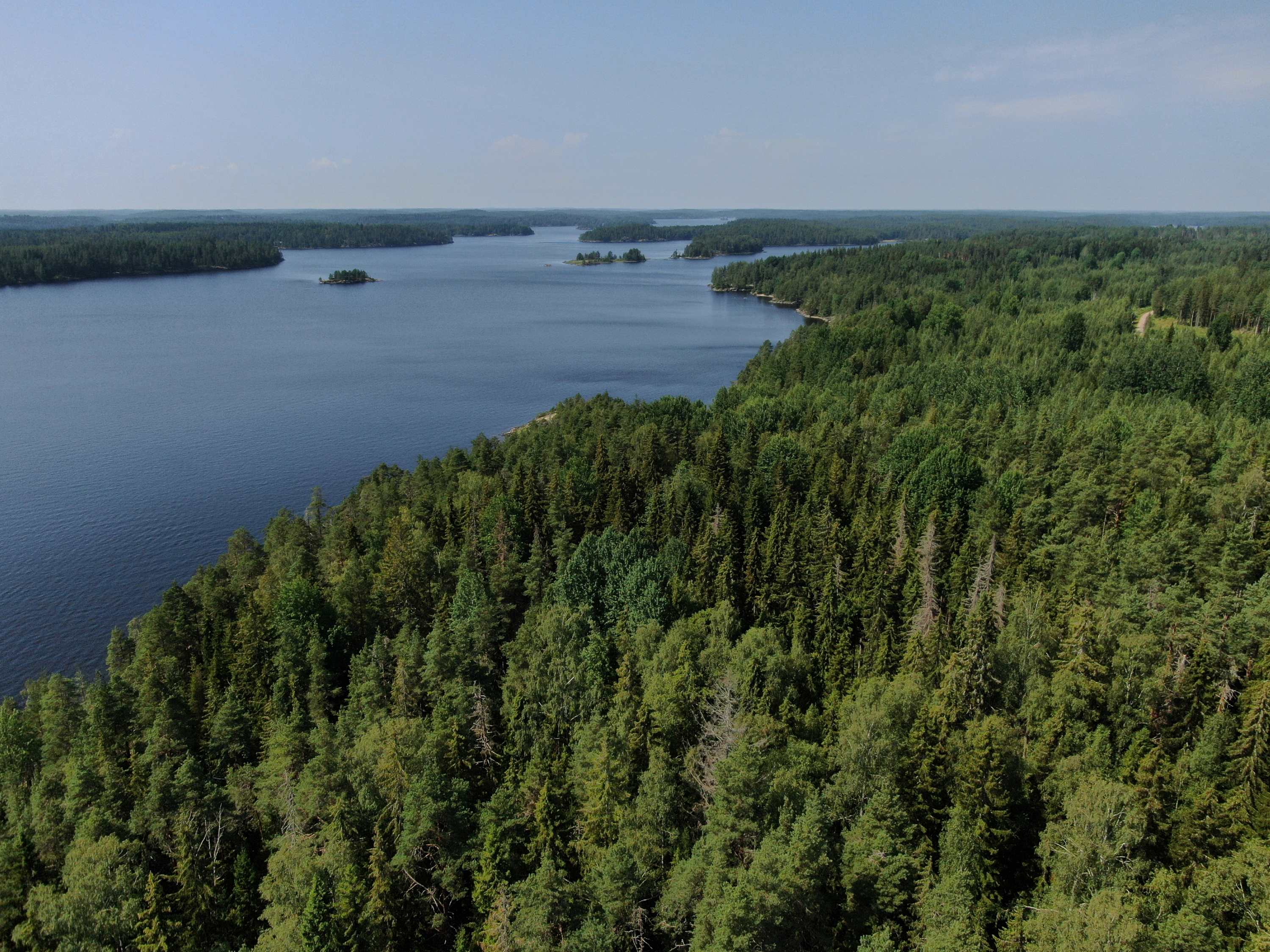Aurinkoisena kesäpäivänä otettu ilmakuva, jossa näkyy metsää ja Saimaan vesistöä.