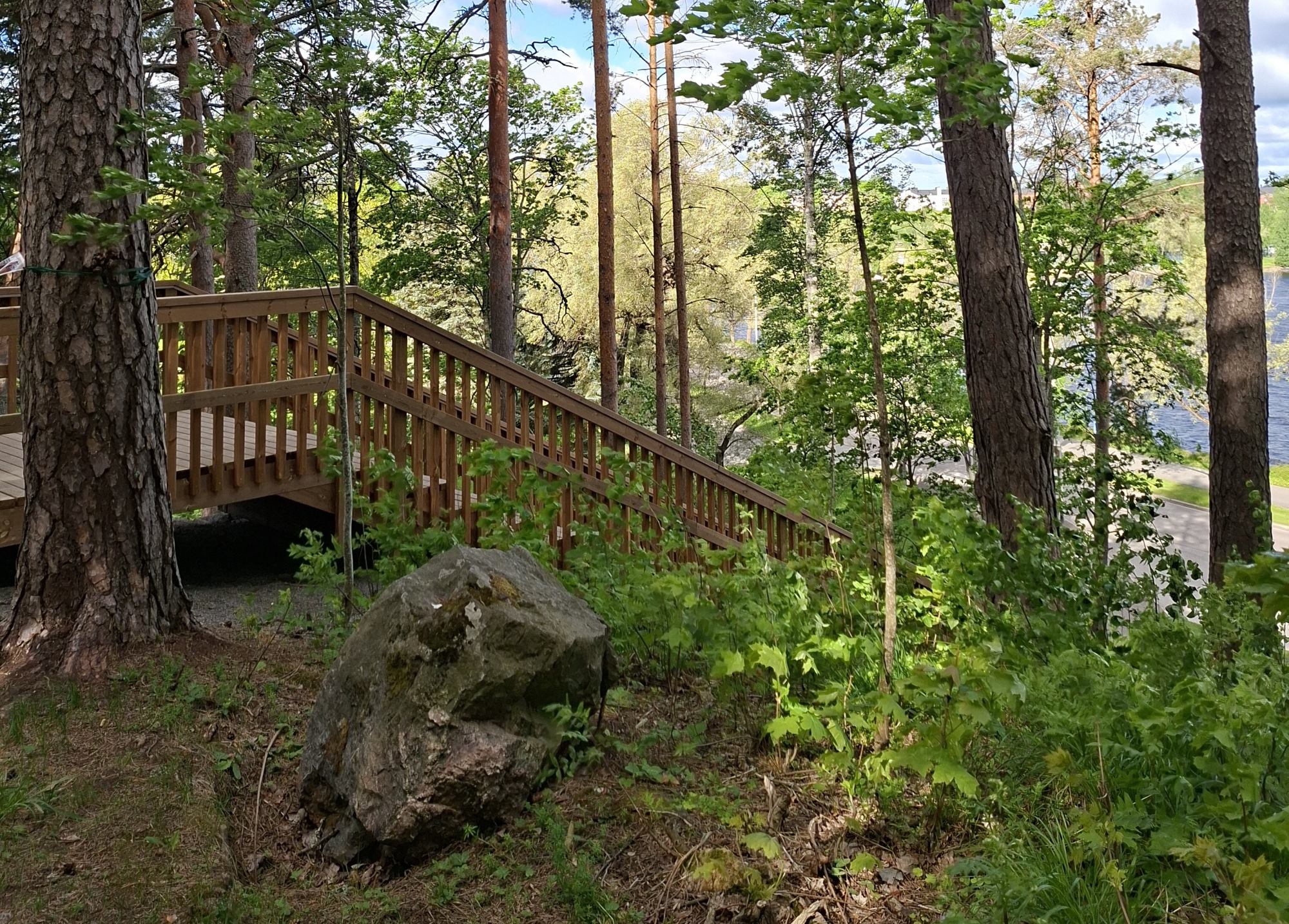 Metsäluontoa ja puista kuntoportaiden yläpäätä.