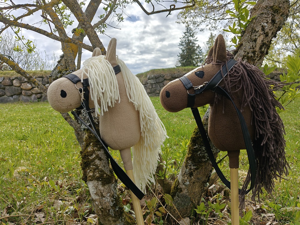 Museot/Hoplaa! -kepparikierros_Marianna Karttunen, Lappeenrannan museot_nettikoko.jpg
