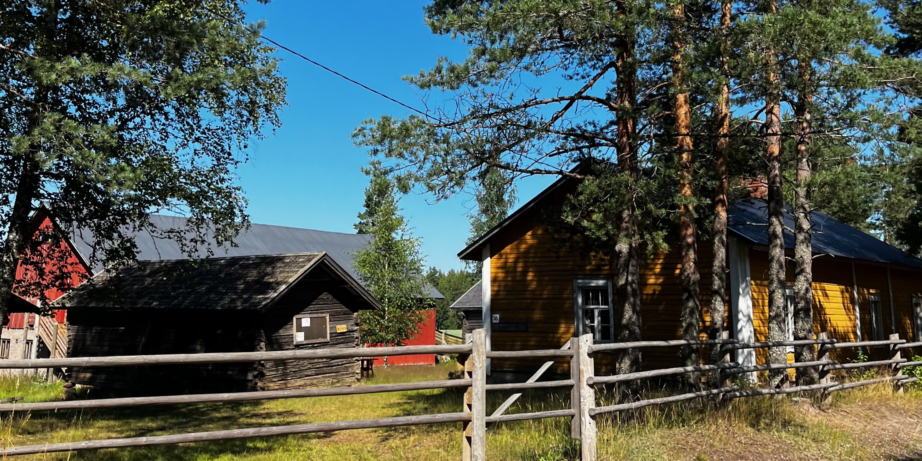 Puutaloja puuaitojen takana.